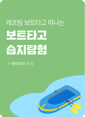 보드타고 습지탐험